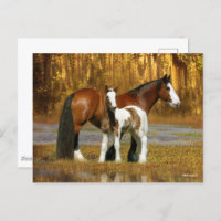 Bob Langrish | Gypsy Vanner Mare and Foal Fantasy