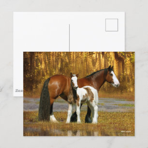 Carte Postale Bob Langrish Gypsy Vanner Mare and Foal Fantasy