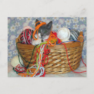Carte Postale Bob's Fun with Yarn Postcard