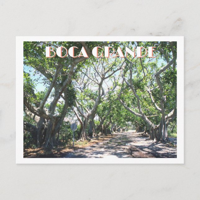 Carte Postale Boca Grande, Gasparilla Island, Floride Banyans (Devant)
