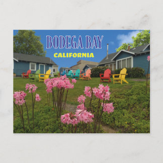 Carte Postale Bodega Bay Bodega Harbor