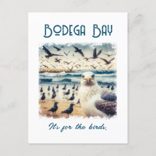 Carte Postale Bodega Bay California Souvenir Cadeau