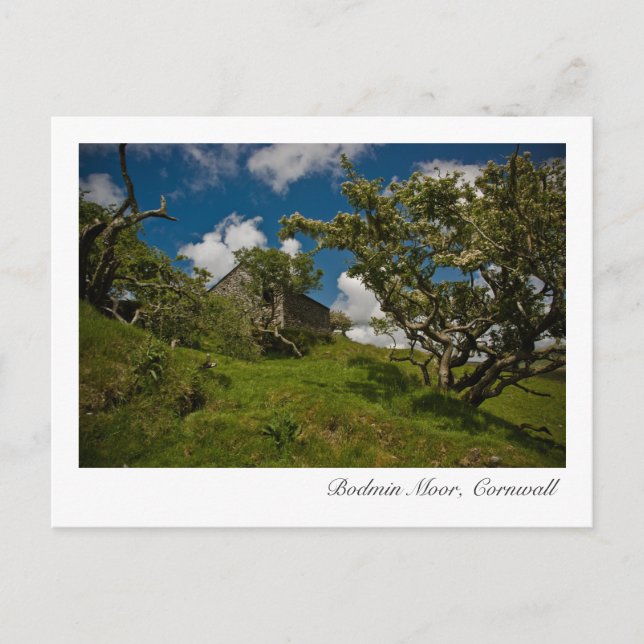 Carte postale Bodmin Moor, Cornouailles (Devant)