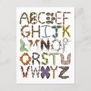 Carte Postale Bogue Alphabet Enfants Insect thème ABC