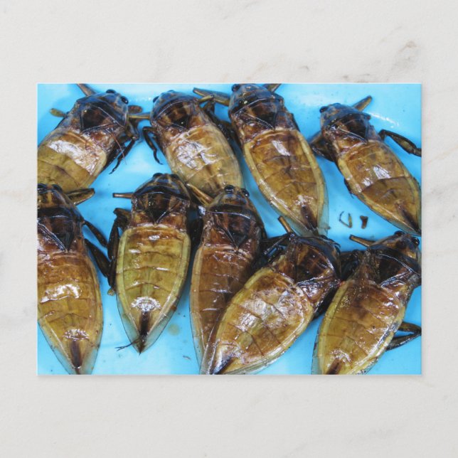 Carte Postale Bogue d'eau géante frite (Maeng Daa) ... Alimentat (Devant)
