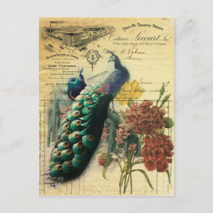 Carte Postale boho floral français pays moderne vintage paon