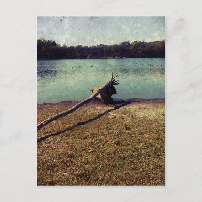 Carte Postale Bois (Devant)