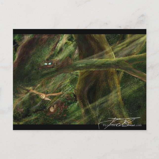 Carte Postale Bois (Devant)