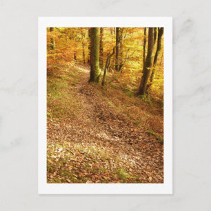 Carte Postale Bois d'automne : Cumbria