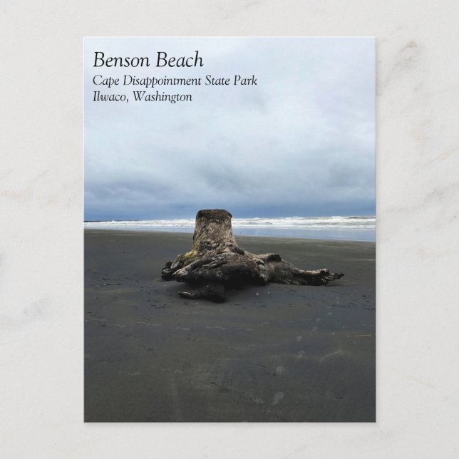 Carte Postale Bois de chauffe à Benson Beach, Cape Disnomination (Devant)