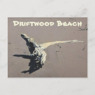 Carte Postale Bois de chêne sur la plage