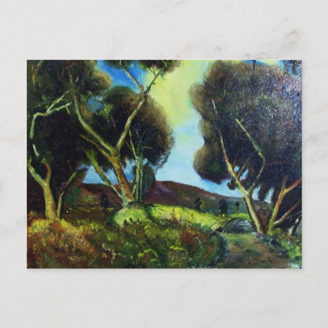 CARTE POSTALE BOIS DE PINÈDE EN TOSCANE (Devant)