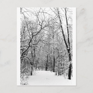 Carte Postale Bois d'hiver