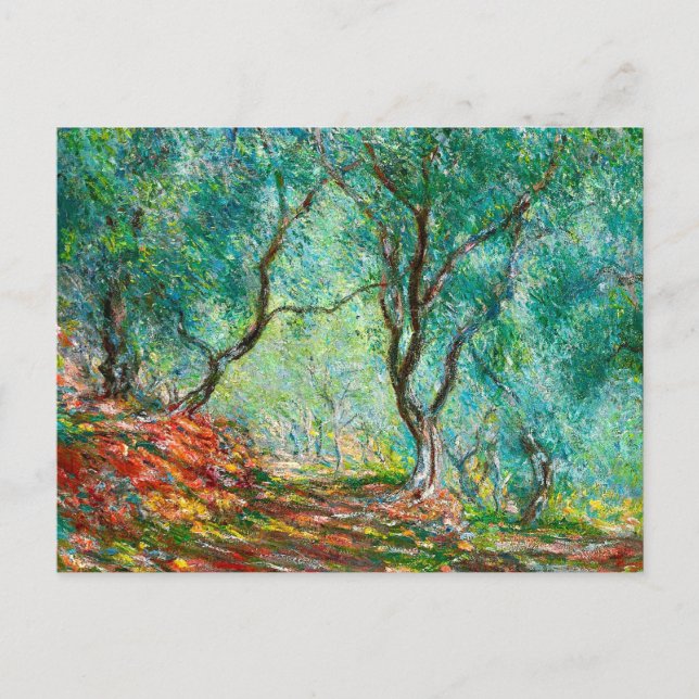 Carte Postale Bois d'olivier dans le jardin de Moreno, 1884 (Devant)
