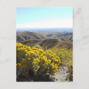 Carte Postale Boise Foothills