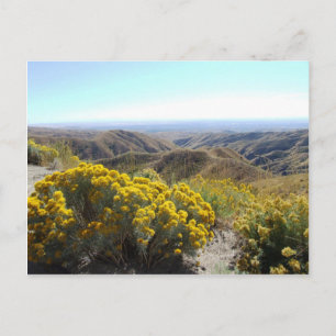 Carte Postale Boise Foothills