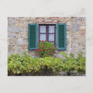 Carte Postale Boîte à fleurs sur la fenêtre