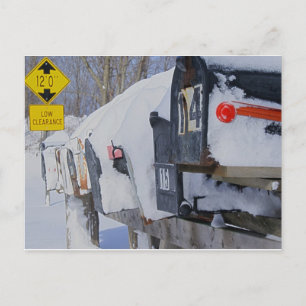 Carte Postale Boîte à glace