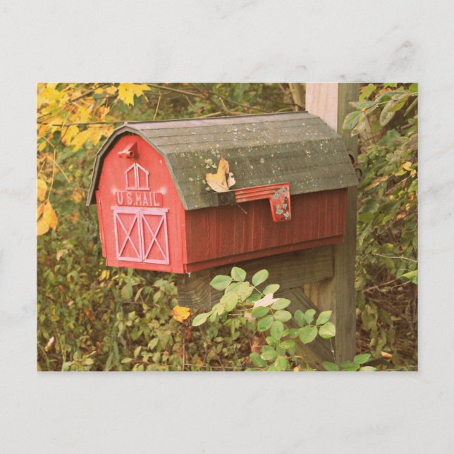 Carte postale boîte aux lettres (Devant)