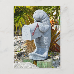 Carte Postale Boîte aux lettres Manatee