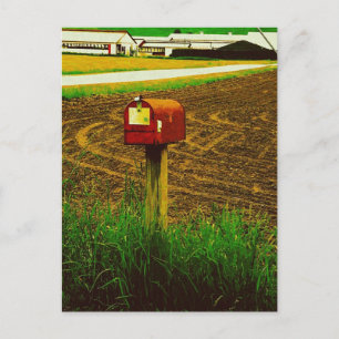 Carte Postale Boîte aux lettres Route rurale