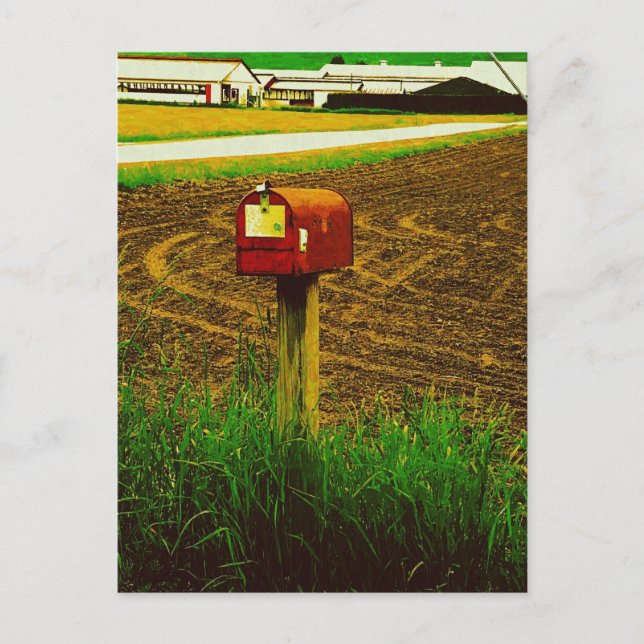 Carte Postale Boîte aux lettres Route rurale (Devant)
