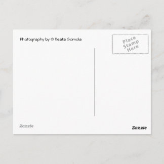 Carte Postale Boîtes aux lettres