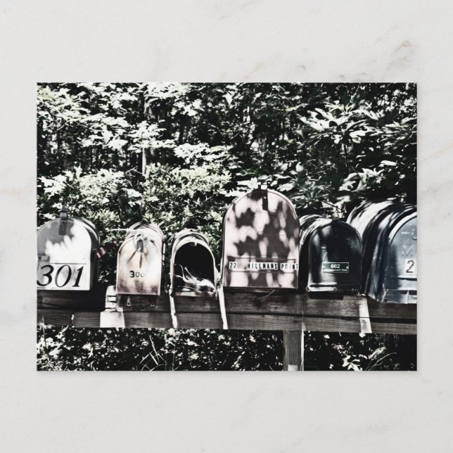 Carte Postale Boîtes aux lettres sur le vignoble (Devant)