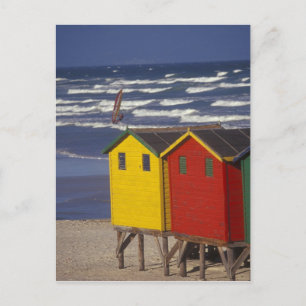 Carte Postale Boîtes de baignade de la baie Saint-James, près de