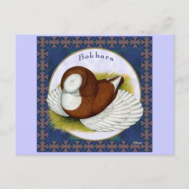 Carte Postale Bokhara Pigeon Dans Le Tour (Devant)