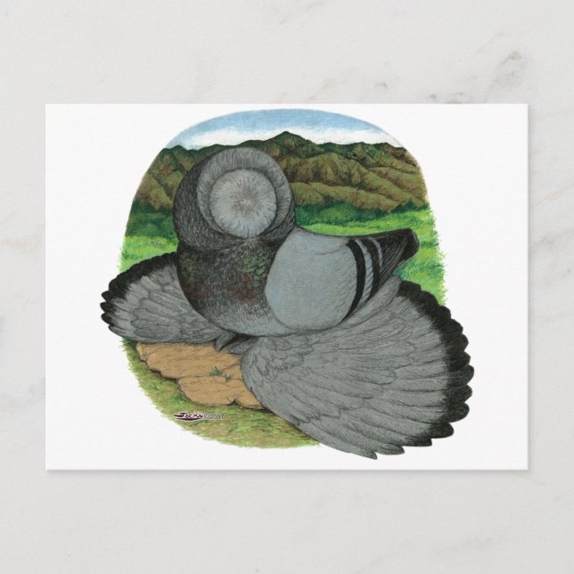 Carte Postale Bokhara Trumpeter : Bleu (Devant)