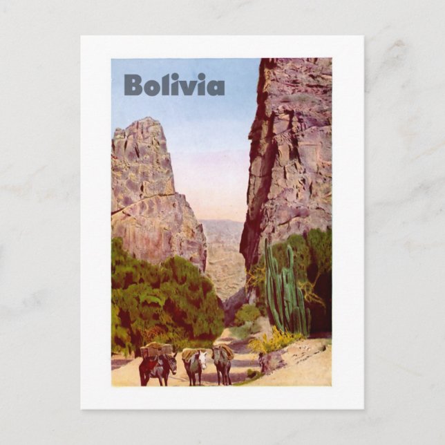 Carte Postale Bolivie (Devant)