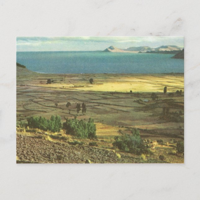 Carte Postale Bolivie vintage, lac Titicaca (Devant)