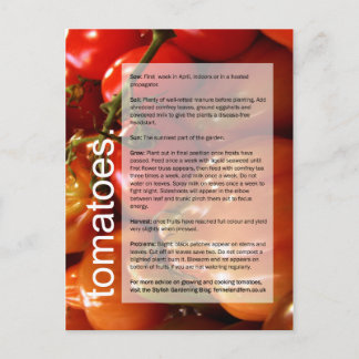 Carte Postale Bon guide de croissance : Tomates et ail