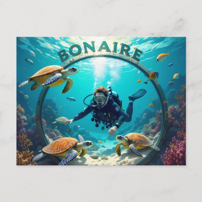 Carte Postale bonaire vacation Postcard (Devant)