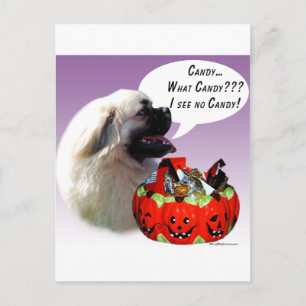 Carte Postale Bonbons d'Halloween en espagnol tibétain
