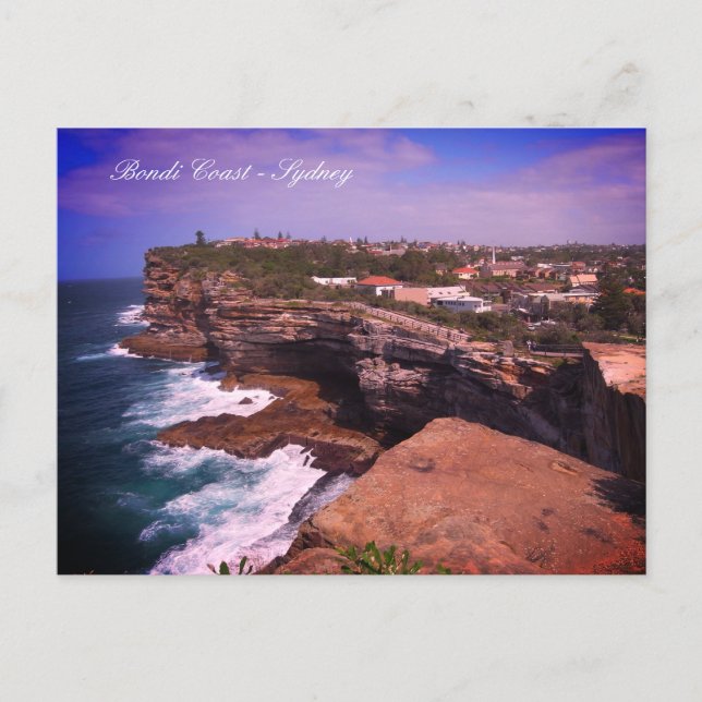 Carte Postale Bondi Coast panorama, Sydney - Australie (Devant)