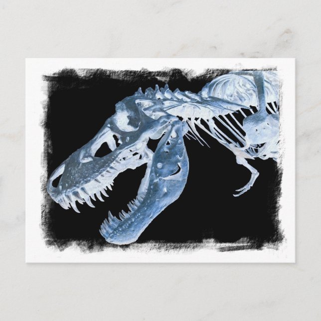 Carte Postale Bones X-Ray bleu et noir T-Rex (Devant)