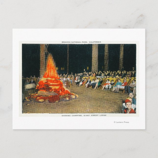 Carte Postale Bonfire du soir au Giant Forest Lodge (Devant)