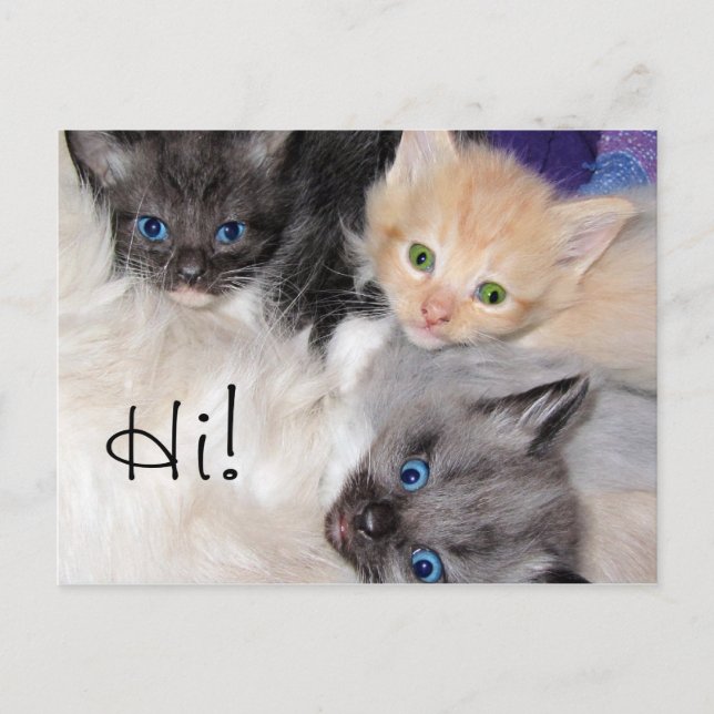 Carte Postale Bonjour ! (Devant)