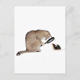 Carte Postale Bonjour ! !