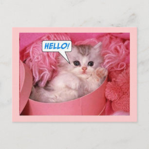 Carte Postale Bonjour