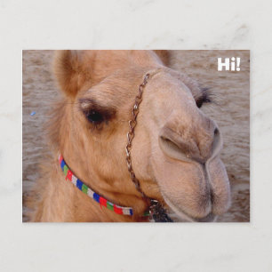Carte Postale Bonjour !