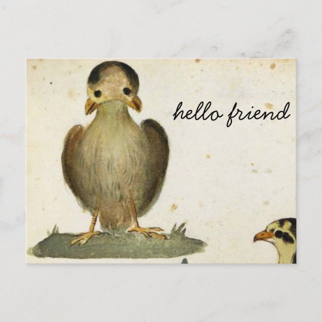 Carte Postale bonjour ami oiseau (Devant)