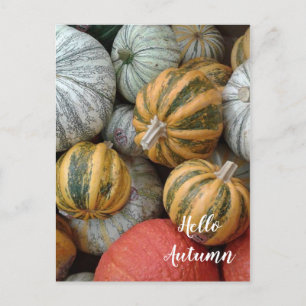 Carte Postale Bonjour Automne - Gourds