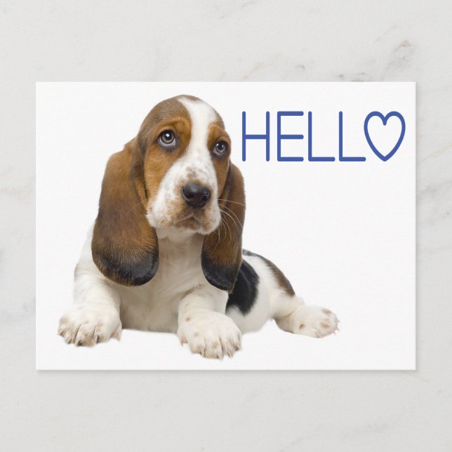 Carte Postale Bonjour Basset Hound Chien Chien Chien Bleu Penser (Devant)