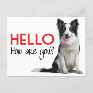 Carte Postale Bonjour Bordure Collie Chien Chien Chien Chien Pup
