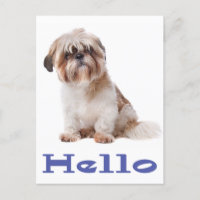 Bonjour Chien Chien Chien Chien Chien Chien Chien