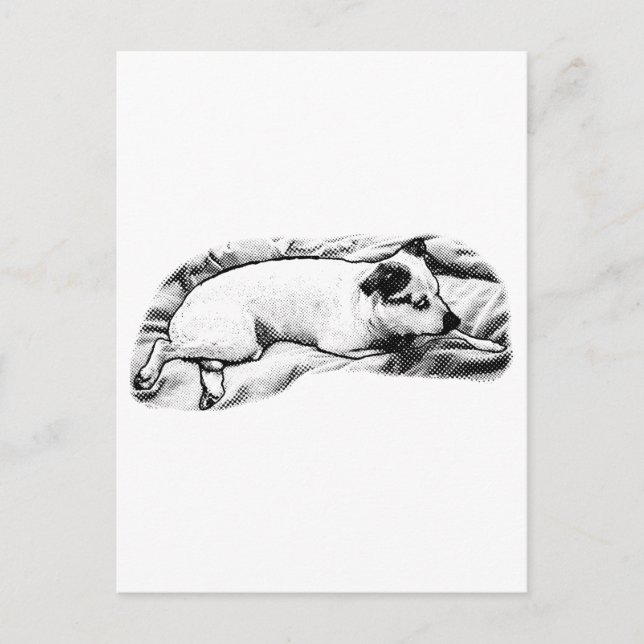 Carte Postale Bonjour de Blanket et Buddy (Devant)