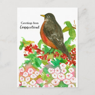 Carte Postale Bonjour de Connecticut American Robin